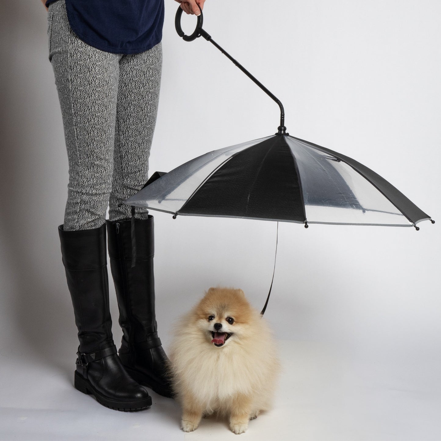 The PupBrella Personalized Folding Umbrella Dog Print