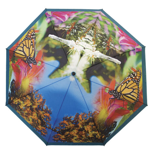 Full-Color Canopy Printing – Single Canopy Folding