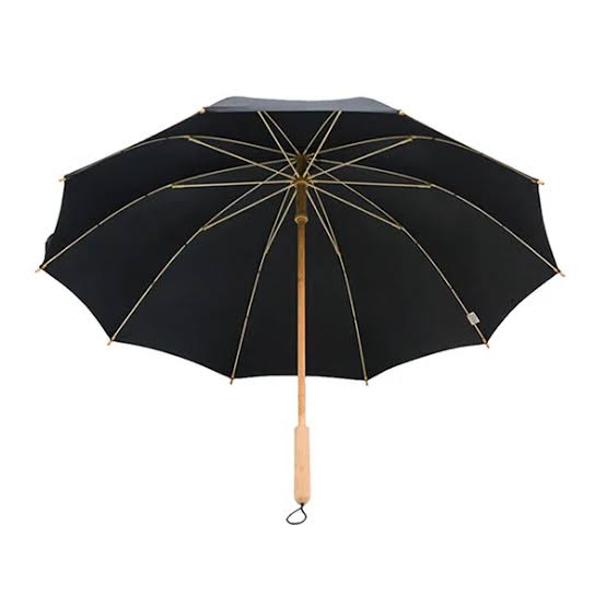 EcoTrend Personalized Bamboo Fashion Umbrella