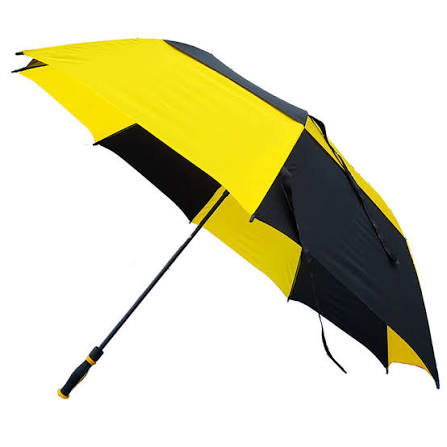 ColorStyle Printed Personalized Fashion Umbrella
