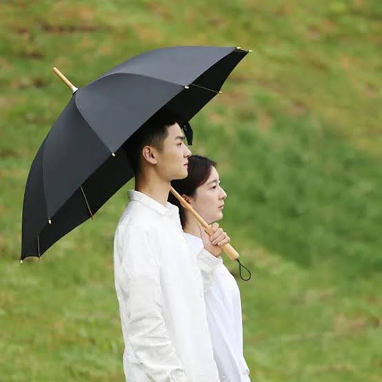 EcoTrend Personalized Bamboo Fashion Umbrella